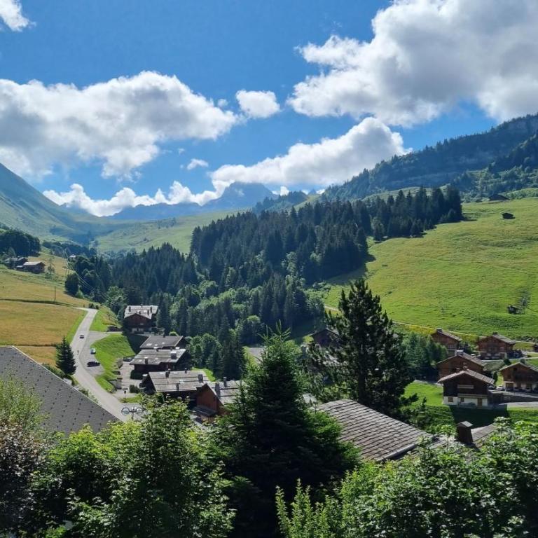 Le Samance 2 - Chalet - 29