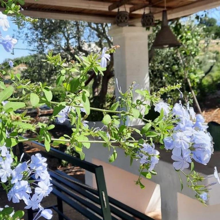 TRULLO PIETRAPOESIA - Casa con 3 Camere da Letto - 48