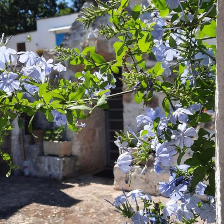 TRULLO PIETRAPOESIA - Casa con 3 Camere da Letto - 36
