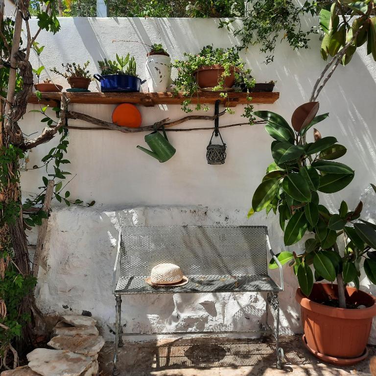 TRULLO PIETRAPOESIA - Casa con 3 Camere da Letto - 22