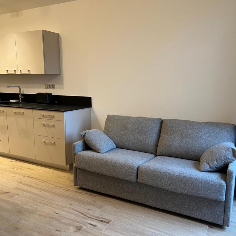 CARLINA 105 - Apartamento de 1 dormitorio - 7
