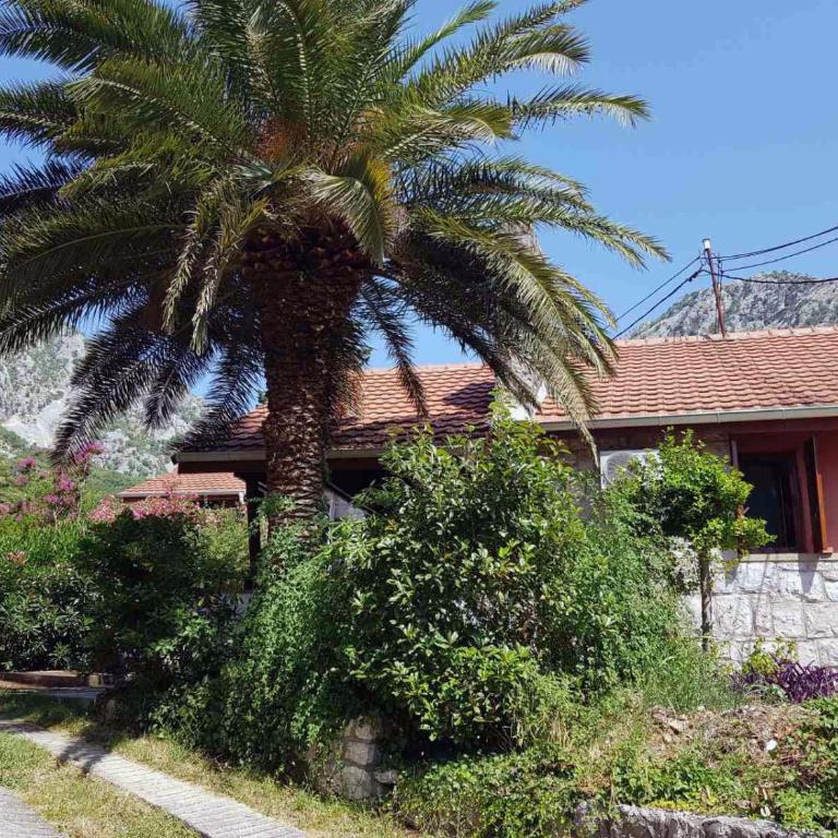 Villa Palma - Three-Bedroom Villa - 16
