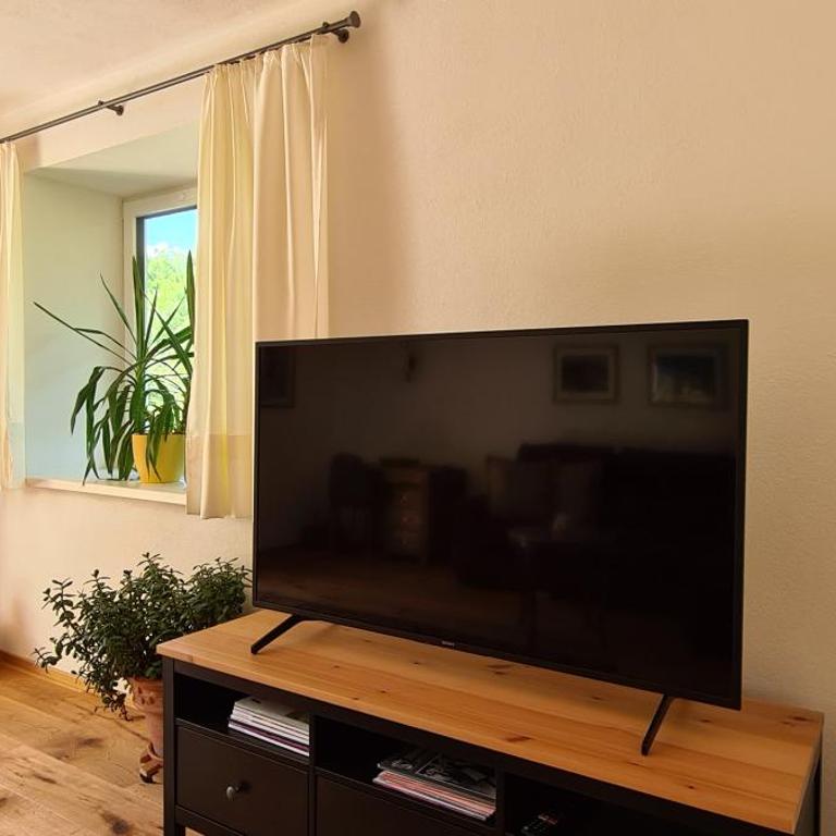 Ferienwohnung Kuglwiese - Apartment mit 1 Schlafzimmer - 2