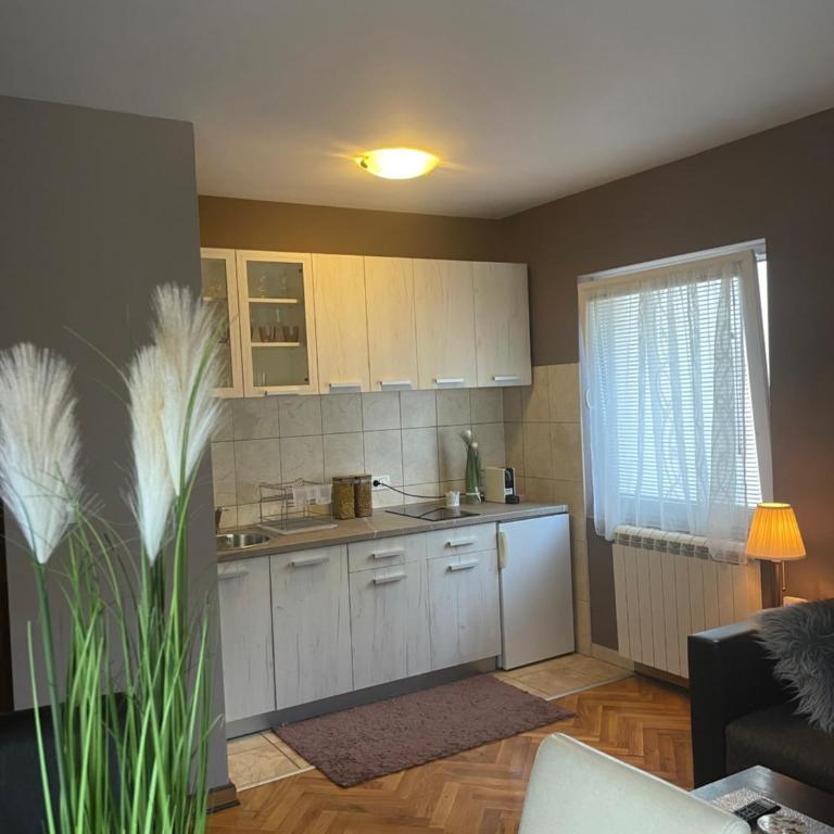 Silver Snowflake - Apartman sa dvoristem - Apartman sa 1 Spavaćom Sobom - 6