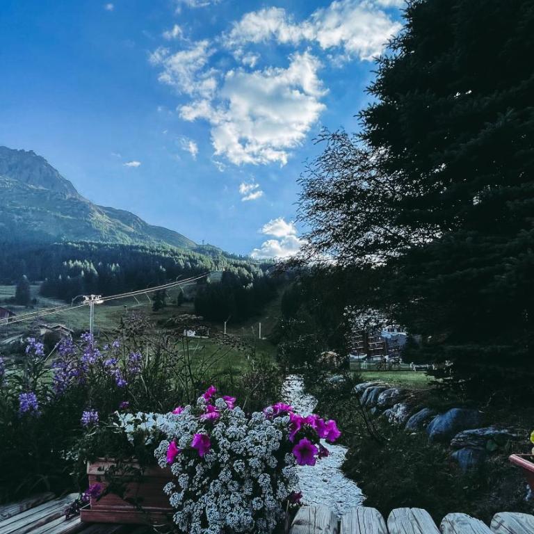 Appartement esprit chalet - splendide vue montagne à 180 - Appartement avec Vue sur la Montagne - 50