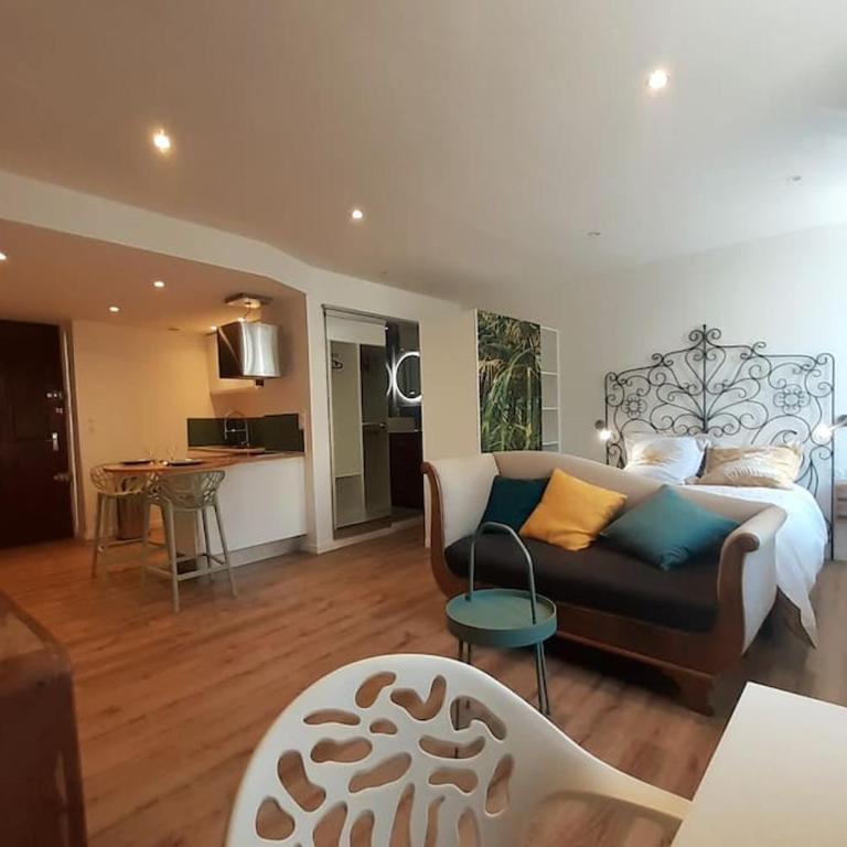 Classé 3 Etoiles IDEAL VIENNE Centre ville 20 min de LYON - Appartement 1 Chambre - 1