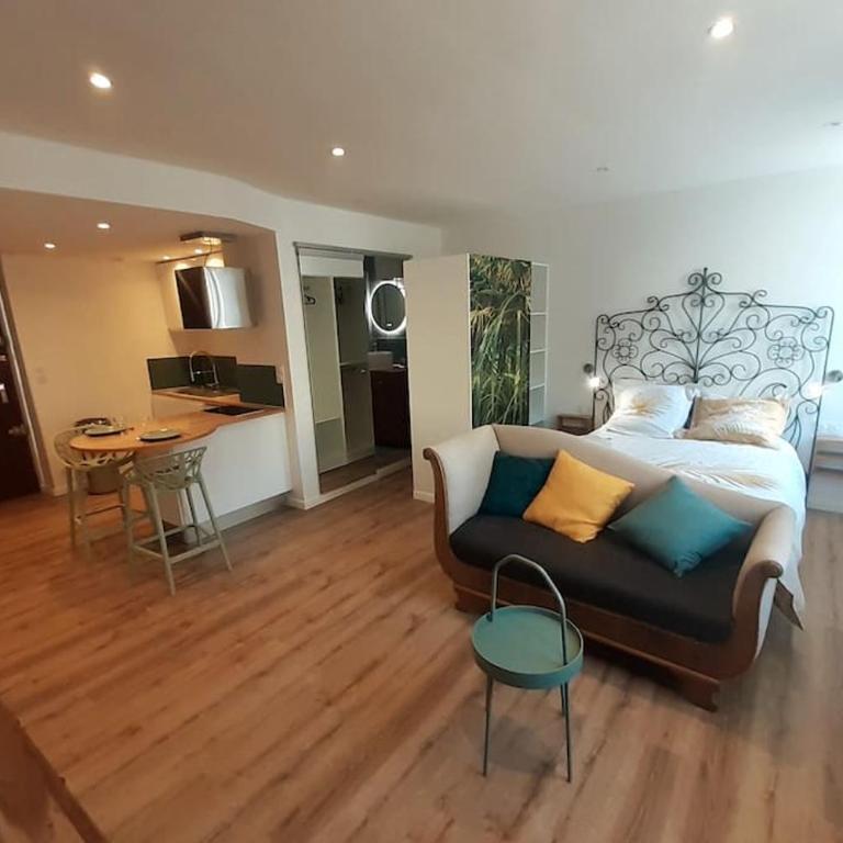 Classé 3 Etoiles IDEAL VIENNE Centre ville 20 min de LYON - Appartement 1 Chambre - 3