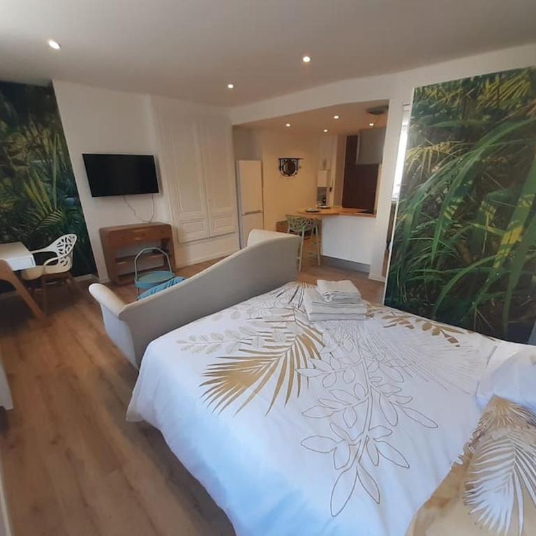 Classé 3 Etoiles IDEAL VIENNE Centre ville 20 min de LYON - Appartement 1 Chambre - 12