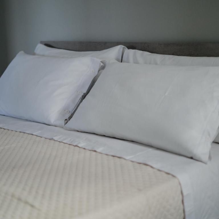DOMUS RESIDENCE - CESARE - - Appartamento con 1 Camera da Letto - 27