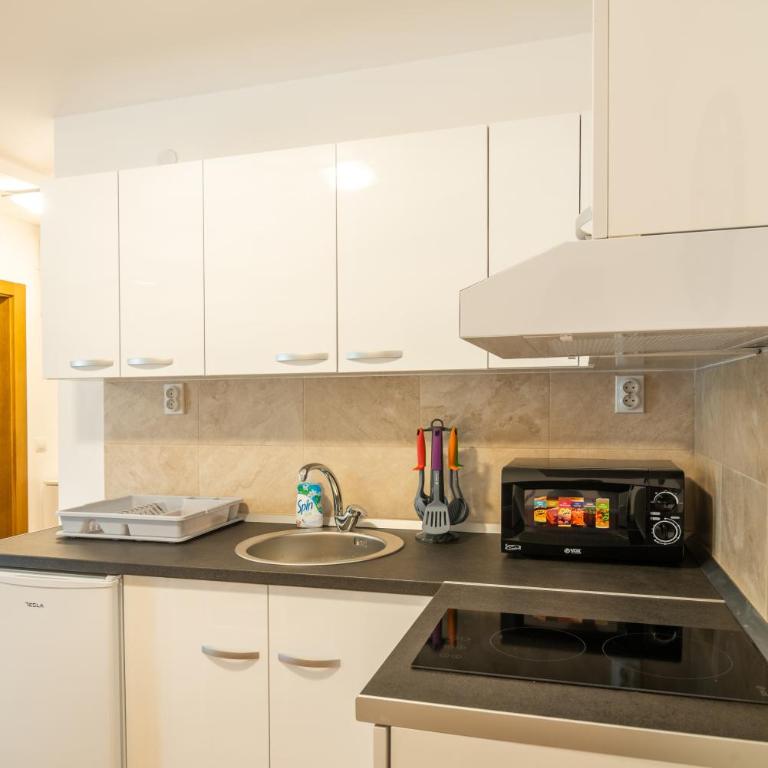 Apartmani Central 7 & Free parking - Apartman sa 1 Spavaćom Sobom - 6