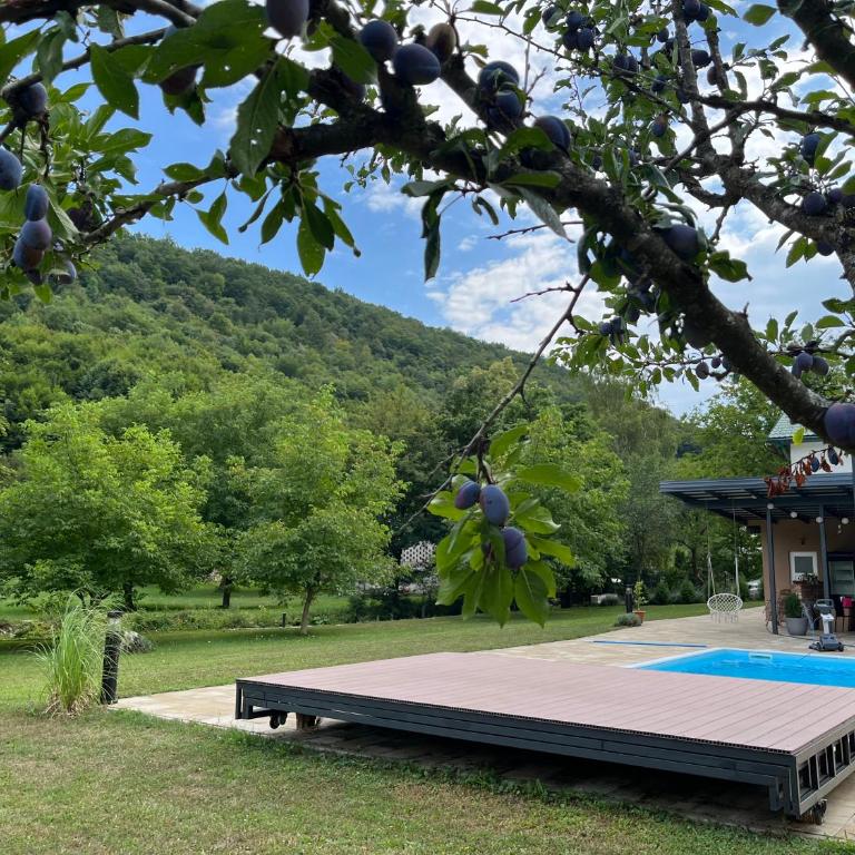 Soko holiday home Bihac - Villa - 27
