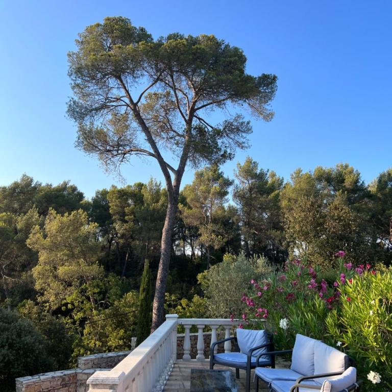 La Farigoule - Sainte-Victoire - Vue exceptionnelle sur Aix-en-Provence - Appartement - Vue sur Jardin - 22