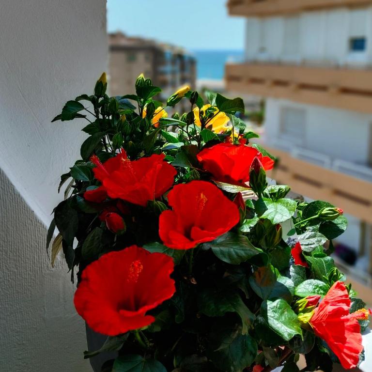 Rentaly Holidays Apartamento Artes de Arcos Almería - Apartamento de 1 dormitorio - 13