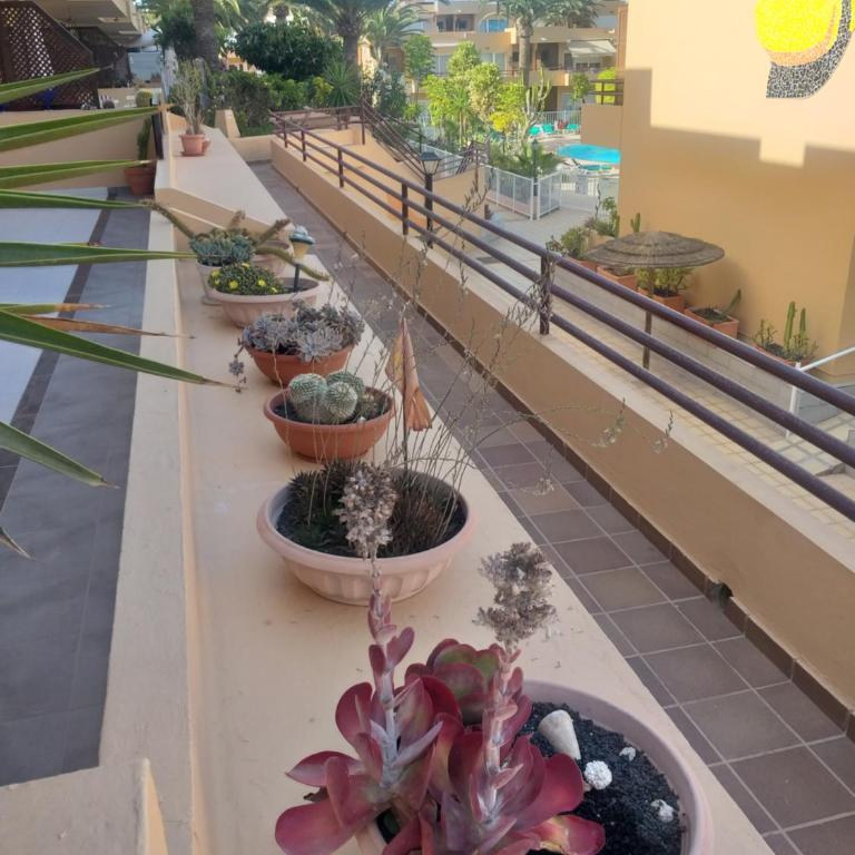 Casa El Nidillo - Apartamento de 1 dormitorio - 41