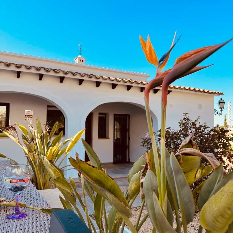 Magic Dream Seaview Villa Denia with 2 Pools, BBQ, Airco, Wifi - Villa - 26
