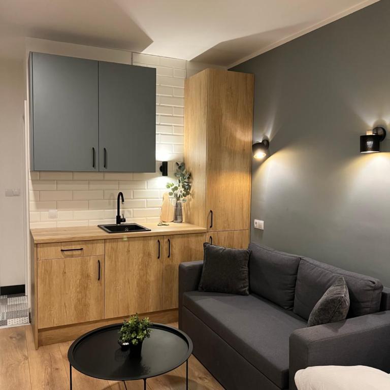 SH Studio Apartments Sarajevo - Green - One-Bedroom Apartment - 9