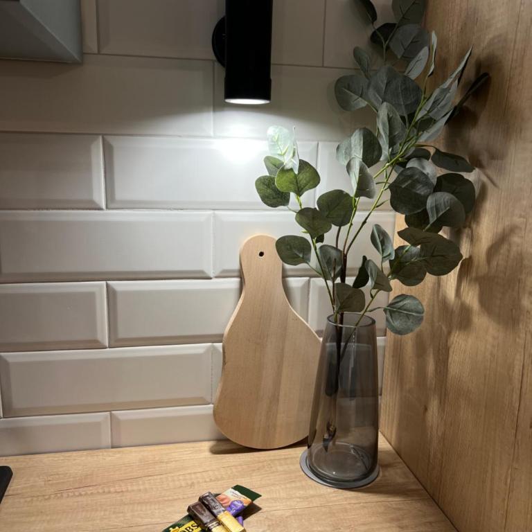 SH Studio Apartments Sarajevo - Green - One-Bedroom Apartment - 7