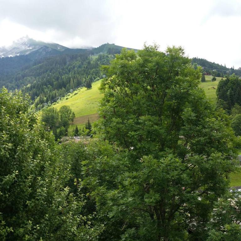 Charmant T2 avec balcon au cœur de La Clusaz, proche commerces et pistes - 4 pers. - FR-1-459-192 - Appartement - 5