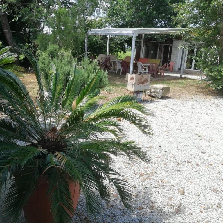 Rosa Malatestiana - Appartamento con 1 Camera da Letto - 1