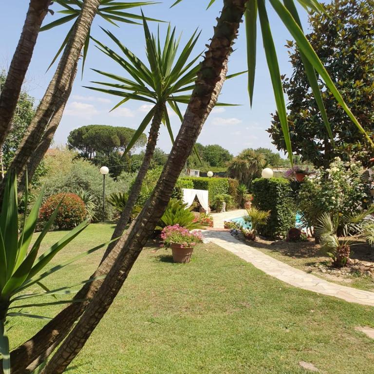 Splendido rustico shabby - Villa - 44