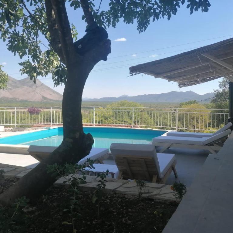 Villa Sonja apartments - Apartman sa 3 Spavaće Sobe - 1