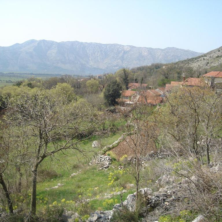 Villa Sonja apartments - Apartman sa 3 Spavaće Sobe - 23