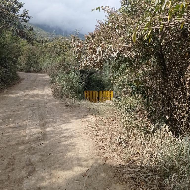 Blue Pine Farm Lodge Cabanas - One-Bedroom House - 20