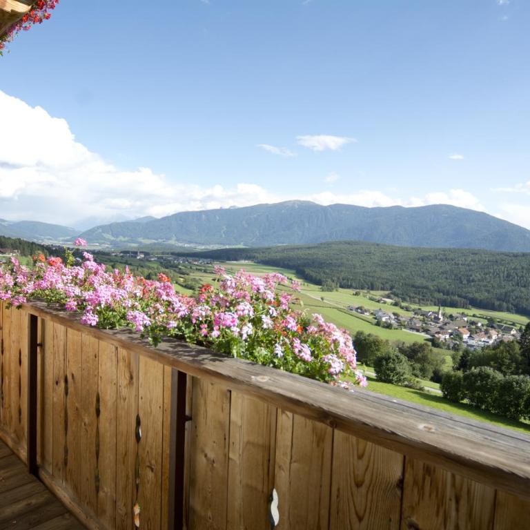 Oberbaumgartnerhof - Appartamento con 1 Camera da Letto e Vista Montagna - 7