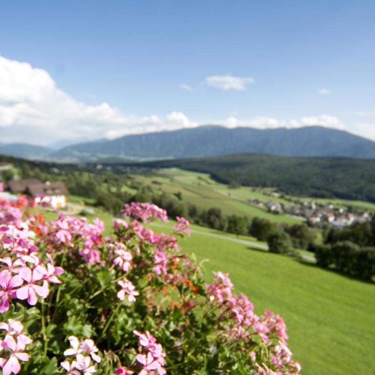 Oberbaumgartnerhof - Appartamento con 1 Camera da Letto e Vista Montagna - 8