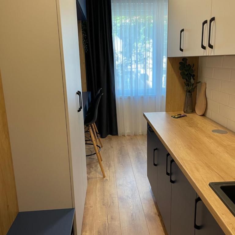 SH Studio Apartments Sarajevo - Blue - One-Bedroom Apartment - 10