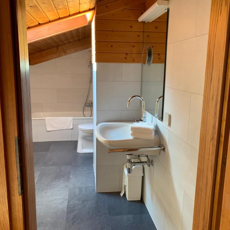 Ski und Therme 1 - Apartment mit 1 Schlafzimmer - 14