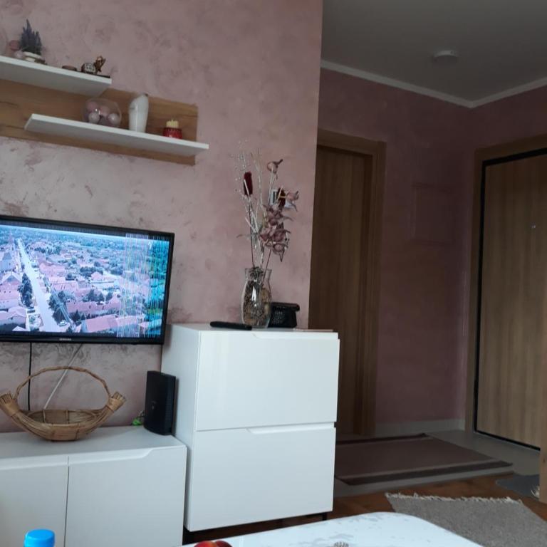 Apartman Stašenka - Apartman - 32