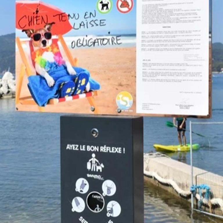 Studio le Monroe les pieds dans l'eau 10 m de la mer - Estudio con vistas al mar - 17
