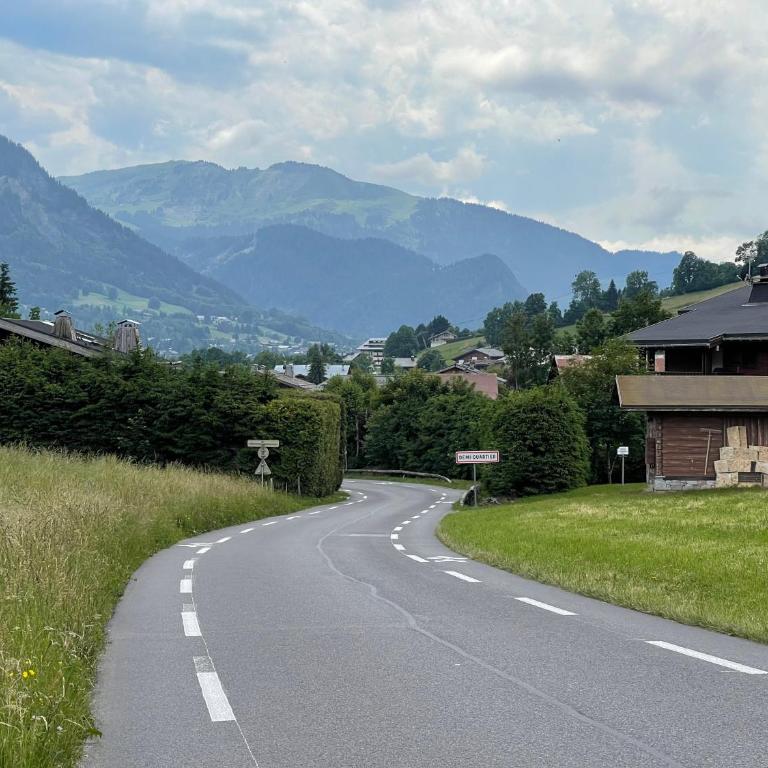 Marmotte du Jaillet Cosy and charmant appartement - Appartement 1 Chambre - 37