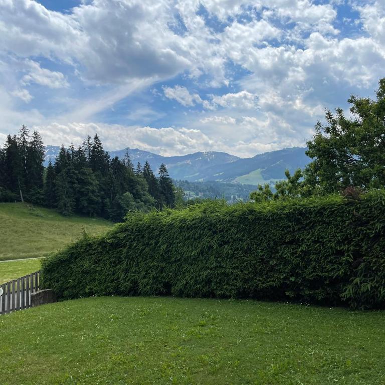 Marmotte du Jaillet Cosy and charmant appartement - Appartement 1 Chambre - 36