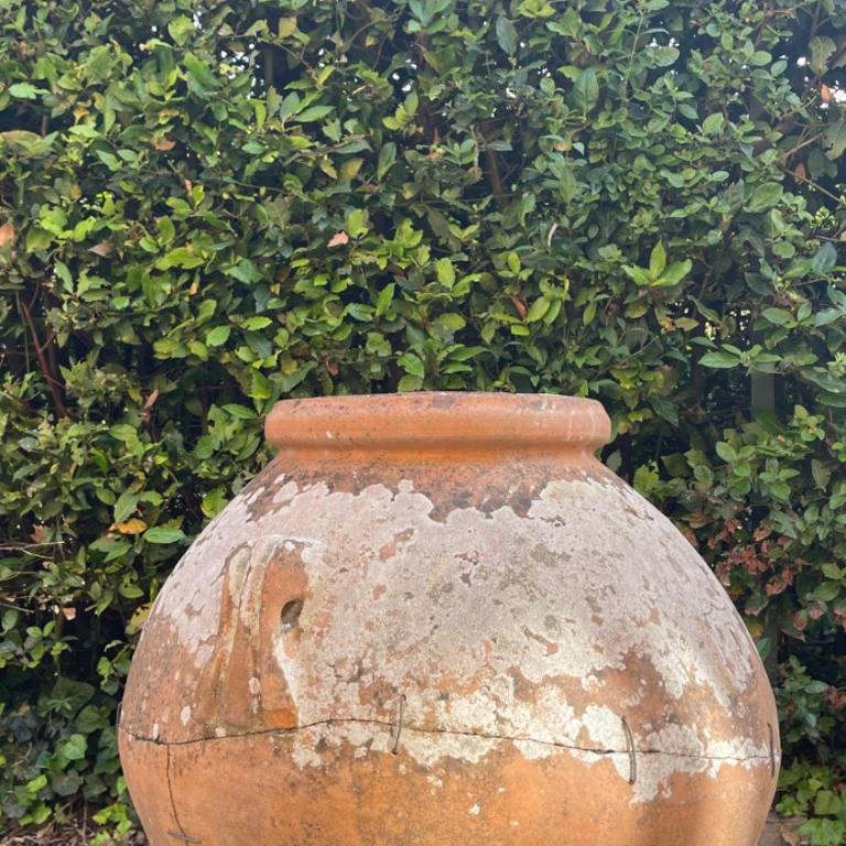 la limonaia - Villa - 9