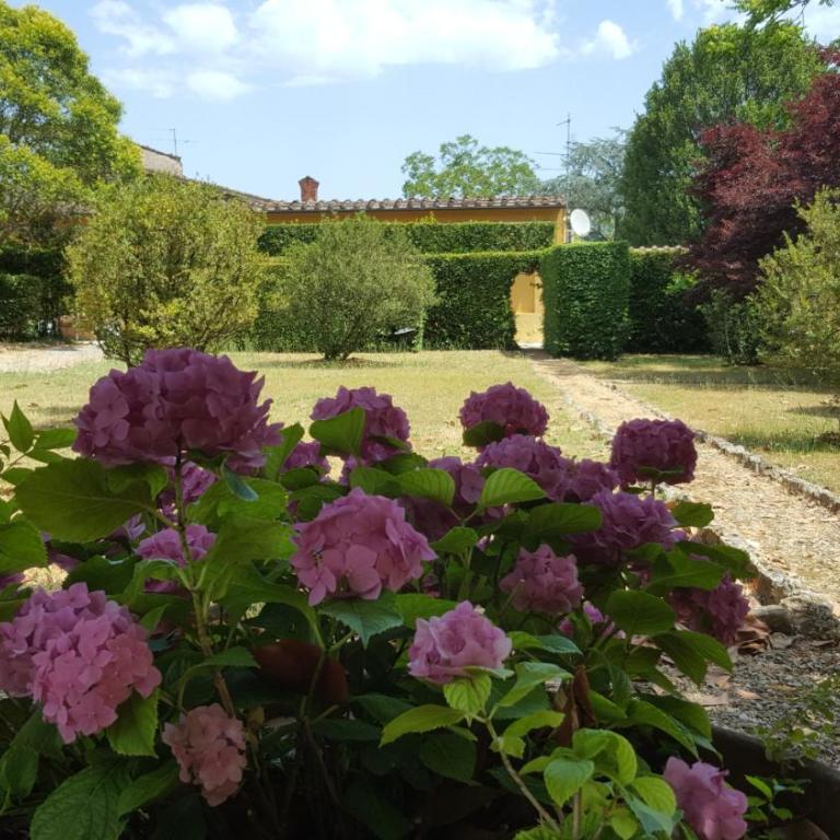 la limonaia - Villa - 6