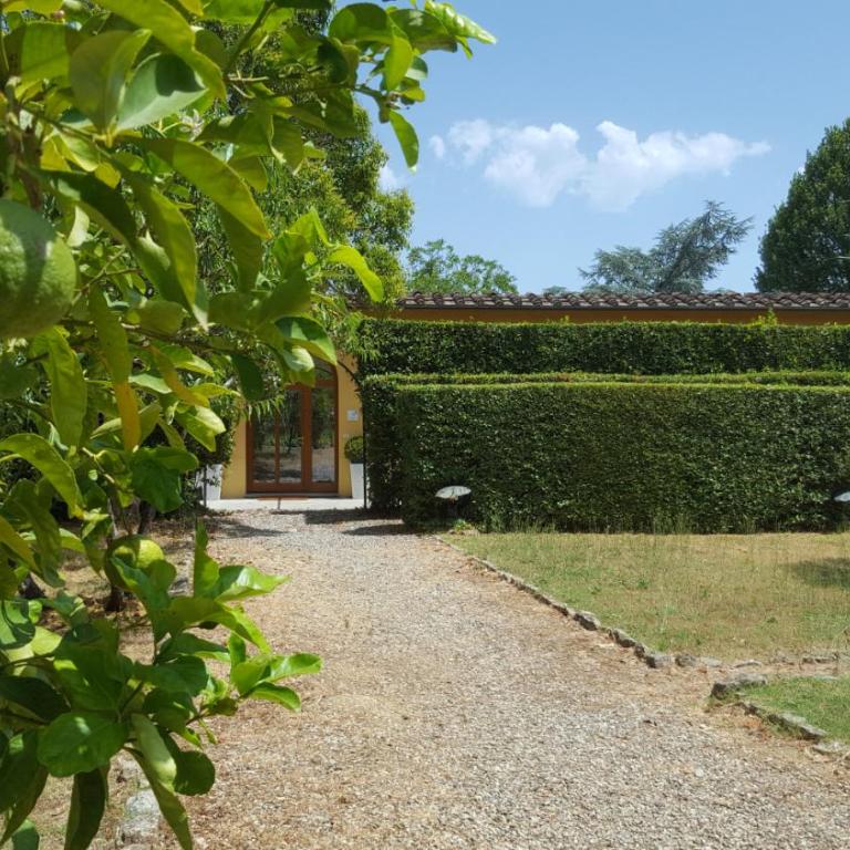 la limonaia - Villa - 5