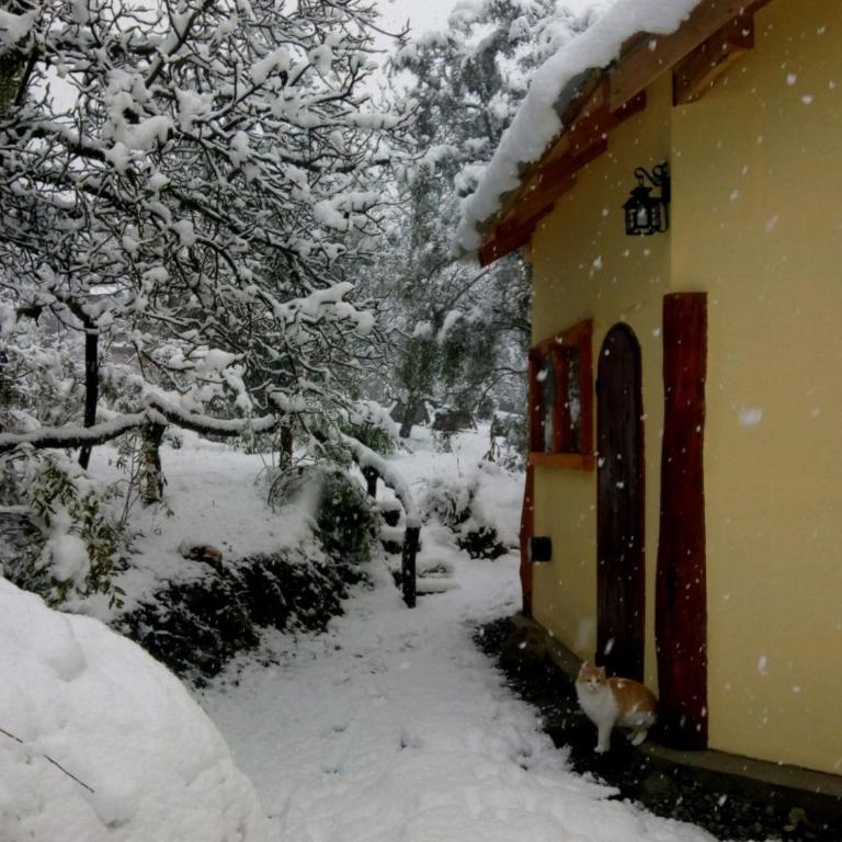 Cabaña Cafuné - One-Bedroom Chalet - 24