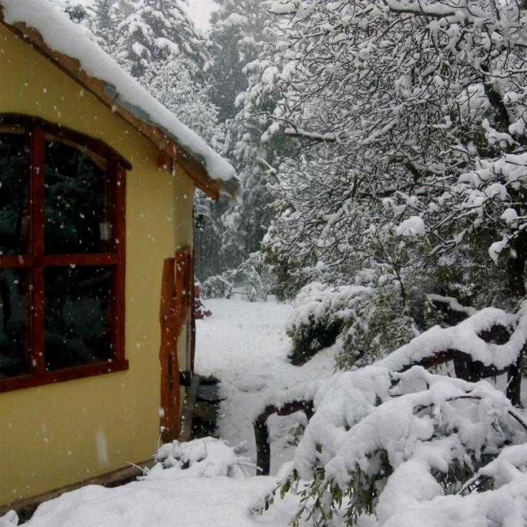 Cabaña Cafuné - One-Bedroom Chalet - 25