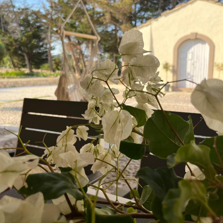 La Bouganville - Casa Vacanze - 13