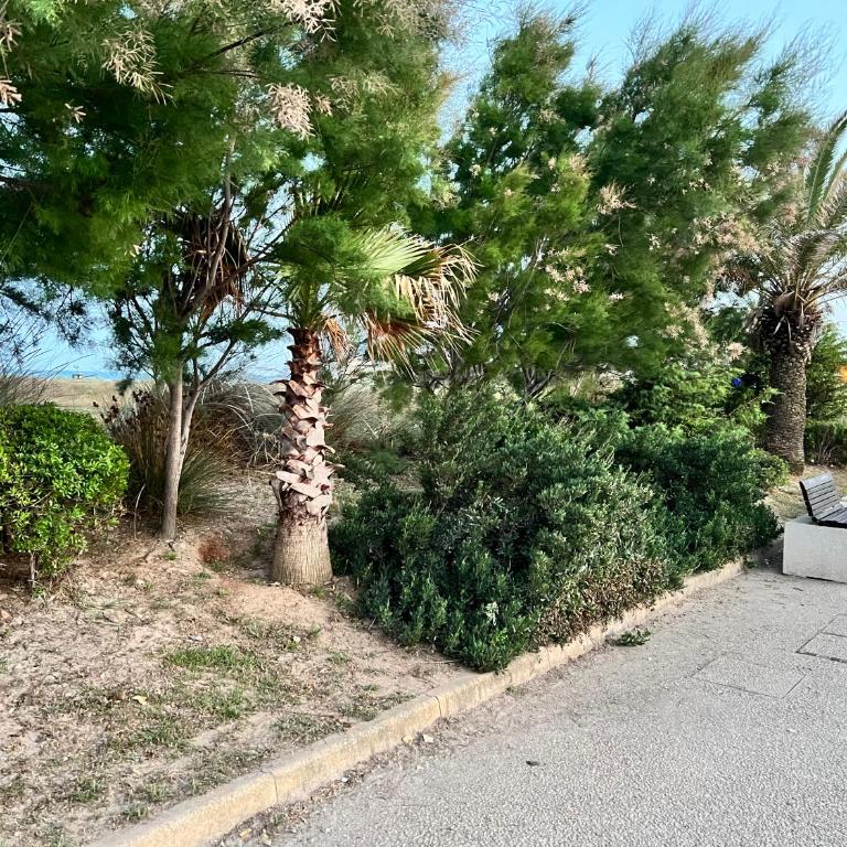 la casetta tra laguna e mare Poetto - Two-Bedroom Townhouse - 65