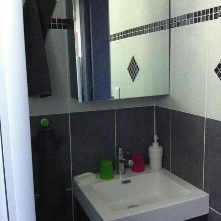 LE LOGIS LE PIC DU MIDI et LE LOGIS LE COL D'ASPIN - Appartement 2 Chambres - 9