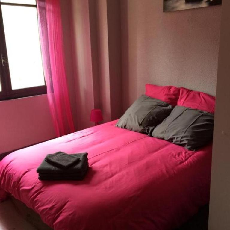 LE LOGIS LE PIC DU MIDI et LE LOGIS LE COL D'ASPIN - Appartement 2 Chambres - 10