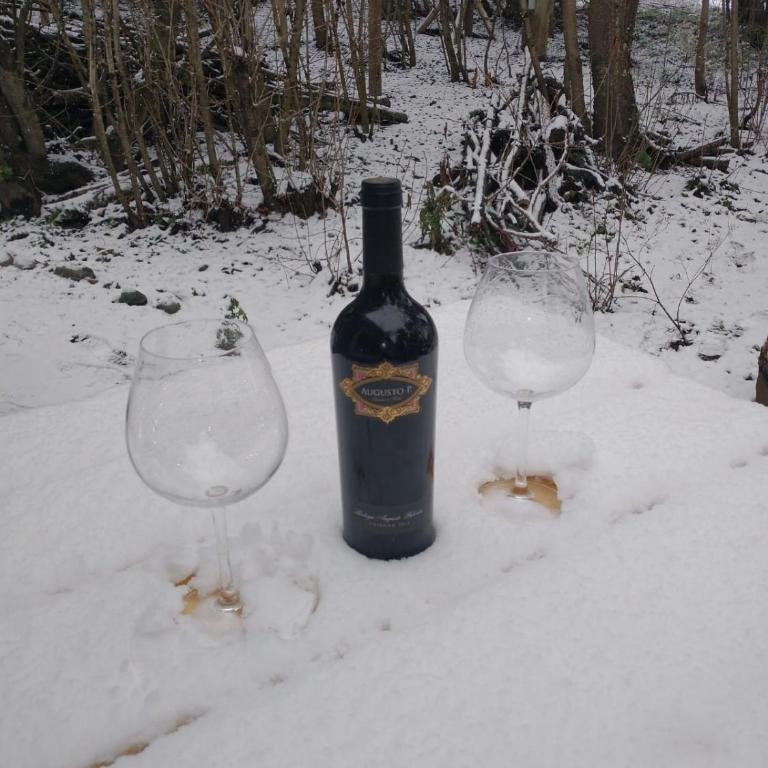 Cabañita en el Bosque - Casa con 1 dormitorio - 6