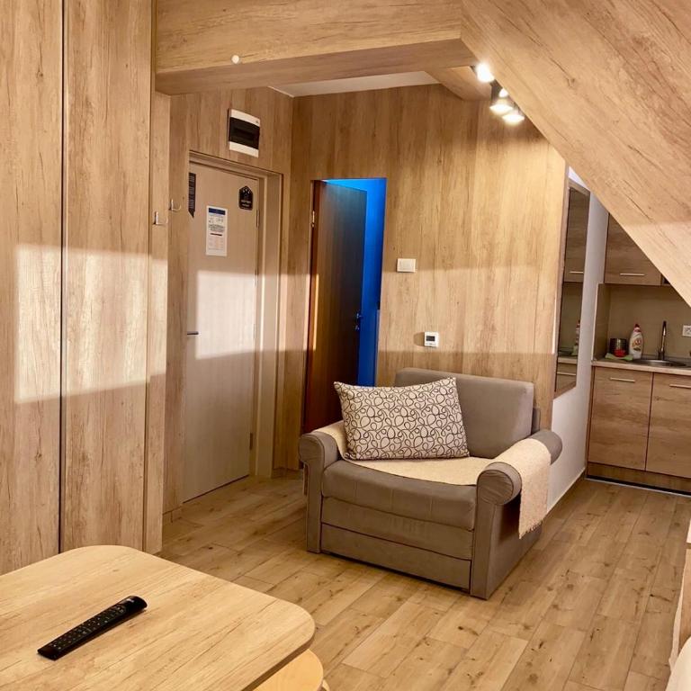 NevSki Apartments - Standard Triple Studio - 11