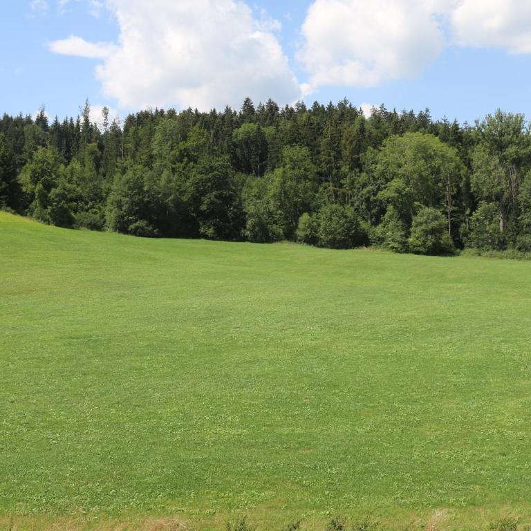 BaumKrone im Happy Allgäu - 2-stöckige Wohnung mit Wohnnetz - Three-Bedroom Apartment - 38