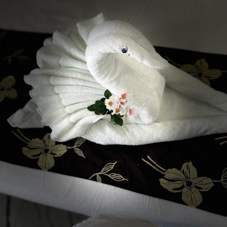Hotel Ko'ox Wenne - Suite Junior Deluxe - 12