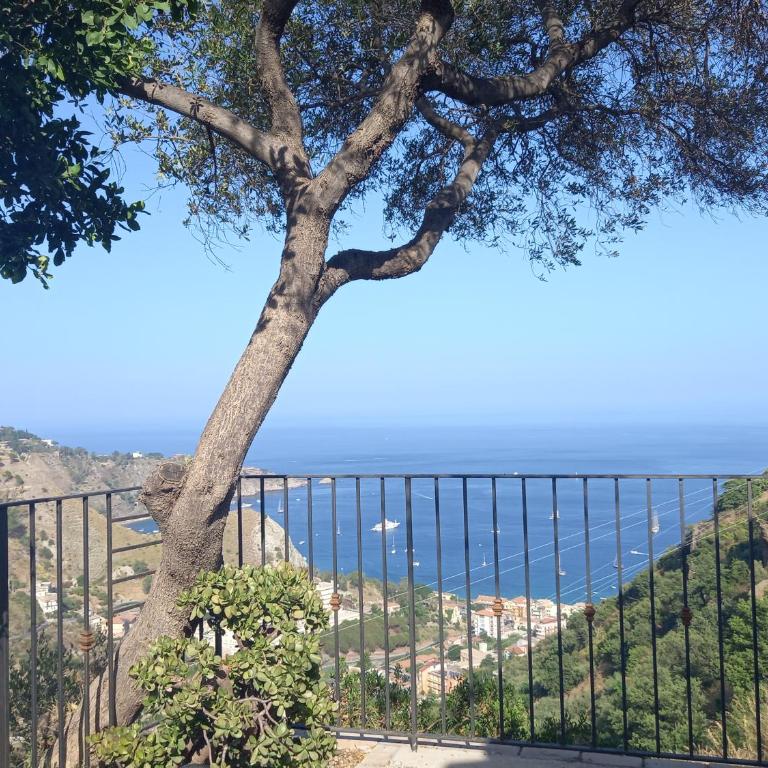 Villa daniela - Casa con 1 Camera da Letto - 1