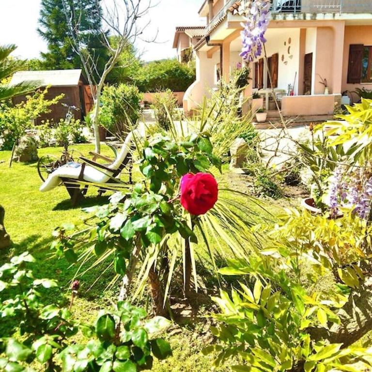 - CASA MAMMA MARISA - - Appartamento con 1 Camera da Letto - 11